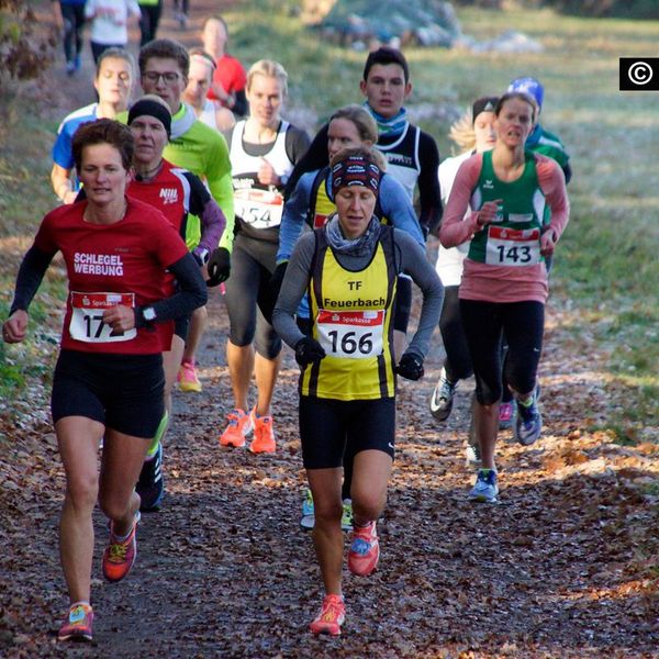 Baden-Württ. Waldlaufmeisterschaften am 17.11.2018 in Neuhengstett