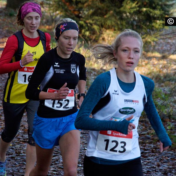 Baden-Württ. Waldlaufmeisterschaften am 17.11.2018 in Neuhengstett