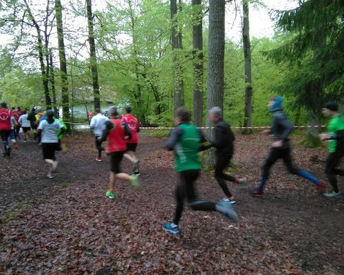 Ohne lange Pause zum 3. Wertungslauf für den WLV Team-Lauf-Cup in Feuerbach