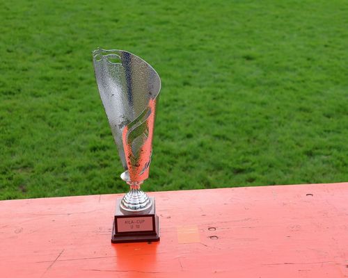 Kreismeisterschaft der bersondern Form