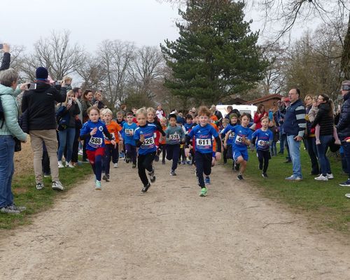 Spannende Hatz um den Hasenhof